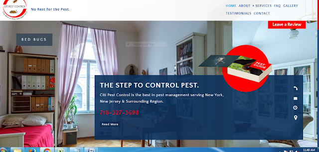 pest control experts 