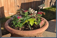 Patio - pot