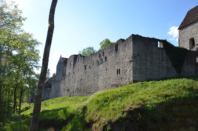 Außenmauer der Salzburg