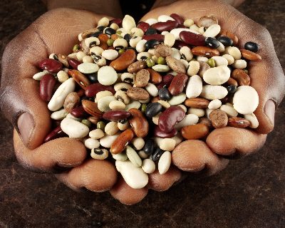 Hands presenting different varieties of beans, for How to Cook Dried Beans from Scratch Mexican-Style in a Slow Cooker or Slow-Cooked in the Oven ♥ KitchenParade.com, easy, healthy and delicious.