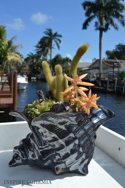 Seashell Oceanfront Dockside Succulent and Cactus Planter - Designer Cactus and Succulent Planters Garden Design Inspire Bohemia - Miami and Ft. Lauderdale Succulent Business