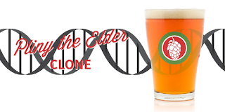 Pliny the Elder Clone - from Austin Homebrew