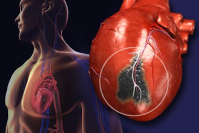 Studies Show What Happens To Your Heart When You Go Vegan Or Vegetarian