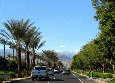 Driving through Palm Desert