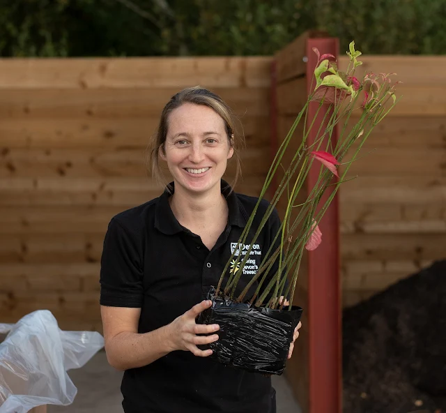 Saving Devon Treescapes' Rosie Cotgreave (Photo copyright Devon Wildlife Trust)