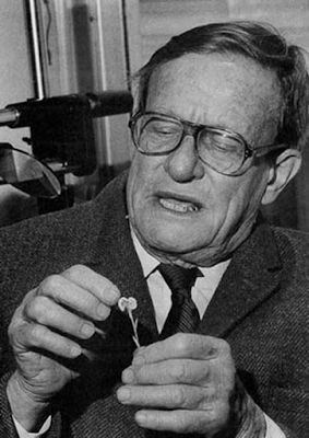 George Ledyard Stebbins jr ( 6 de enero de 1906-19 de enero de 2000) fue un botánico y genetista estadounidense, considerado uno de los biólogos más destacados del siglo XX uno de los miembros fundadores de la síntesis evolutiva moderna. Su libro de 1950 Variation and Evolution in Plants (Variación y Evolución en Plantas) llevó la botánica dentro de la síntesis.