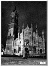 MONZABYN_08BW