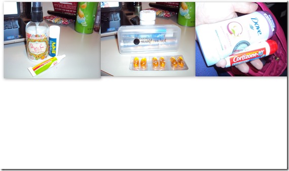 2013-05-14 purse2
