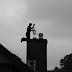 Chimney Inspection And Repair, Salt Lake City Chimney Sweeps | Click For Needs, Muscle Fiber - Fiber Muscle