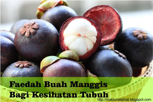 Faedah Buah Manggis Bagi Kesihatan Tubuh