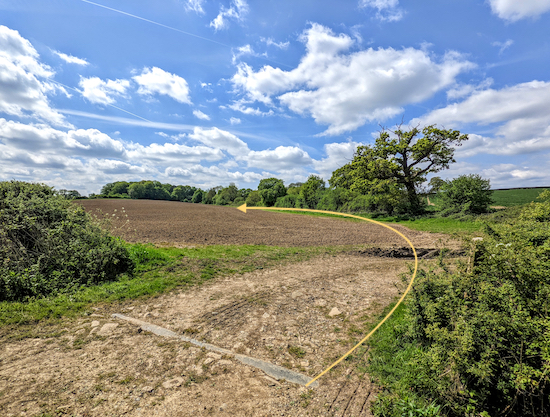 Head uphill and SW with the hedgerow on the right and the field on the left