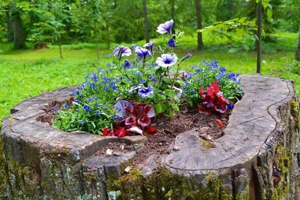 How to Make a Planter Out Of a Tree Stump
