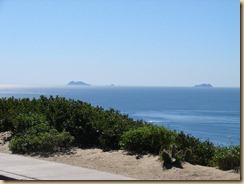 DSC01795
