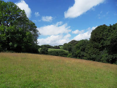 Countryside near Golant Cornwall
