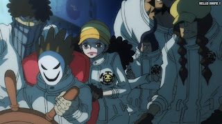 ワンピースアニメ 1038話 ハートの海賊団 Heart pirates ONE PIECE Episode 1038