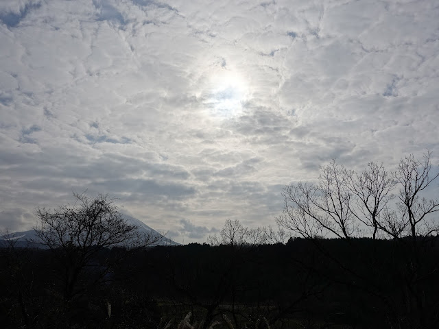 淀江どんぐり村　大山の眺望