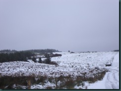 DSC00785