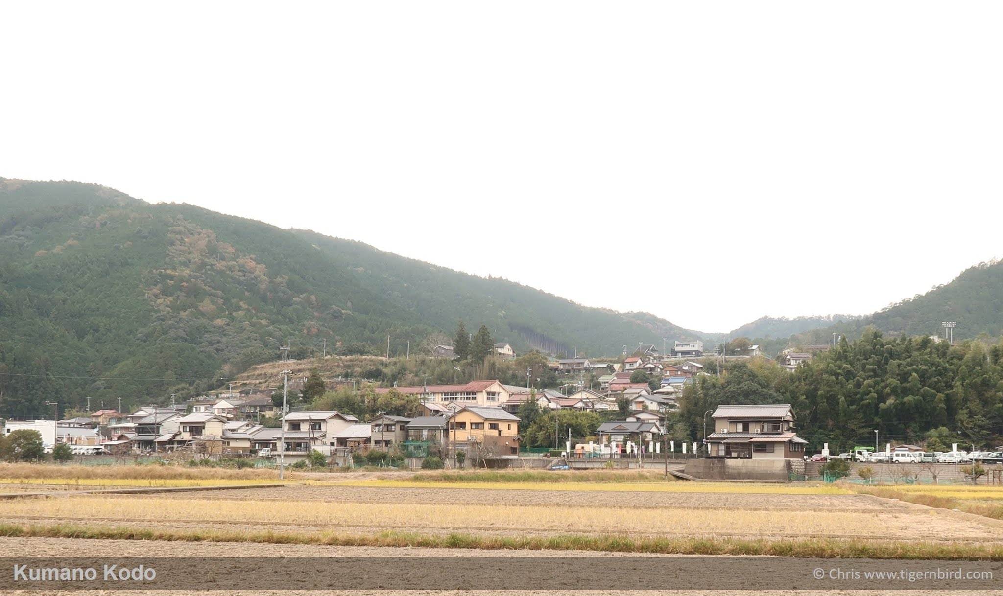 Small village against hillside in Kumano, Japan
