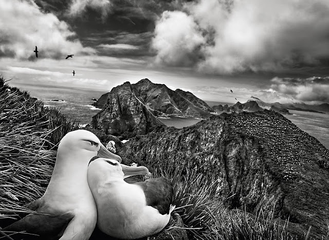 Sebastiao Salgado, Caixa Forum, Madrid, España