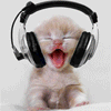 This is where I'll keep you up-to-date about my journey into webcasting!