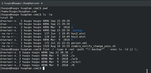 Linux find command