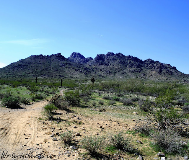 Phoenix Mountains