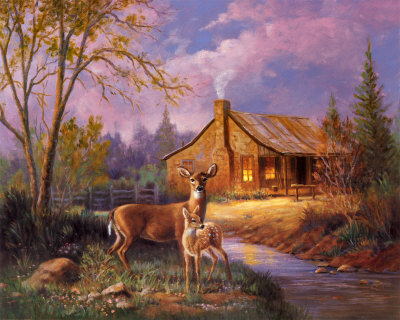 Pictures for Everyone,,,no Trash: Deer Scenes