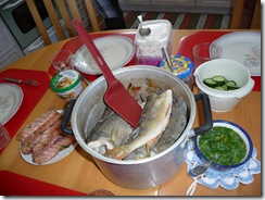 Finland 2009 (422)
