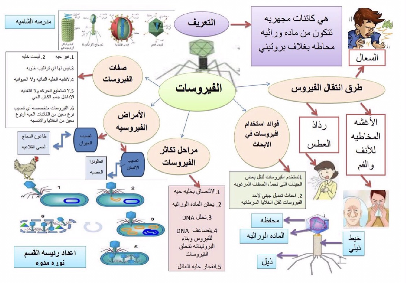 خرائط ذهنية الصف السادس علوم الفصل الثاني ملفات الكويت التعليمية