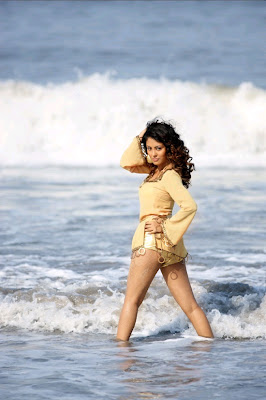 Hot Cute Wallpaper Of Meenakshi [Tamil Actress]