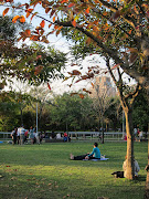 I met up with frisbeethrowing friends in a very, very busy, Danan Park, . (taipei park birding)