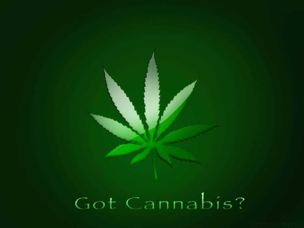 free wa11papers  Wallpaper Cannabis