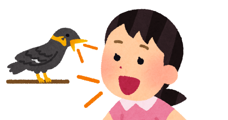 九官鳥に話しかける女の子のイラスト かわいいフリー素材集 いらすとや