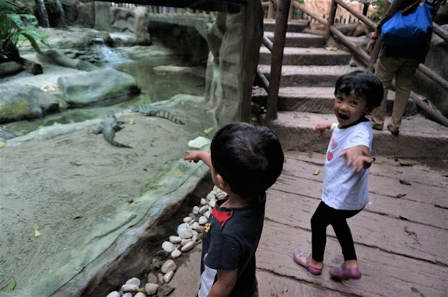 Trip To Lost World Of Tambun Part 3: Dry Land