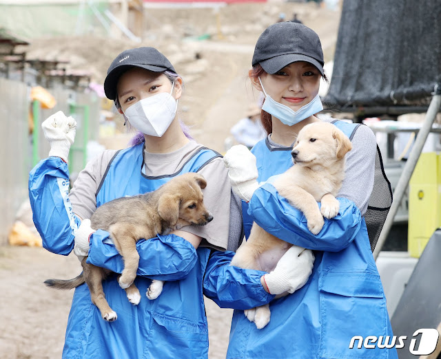 Twice Jeongyeon and Tzuyu Animal Shelter