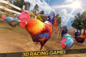 balap ayam jago mod apk