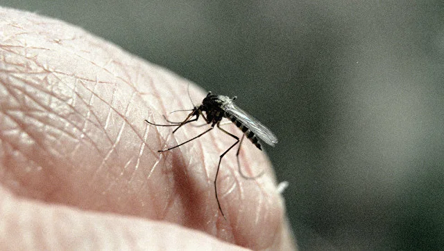 Biologists have found a way to avoid mosquito bites