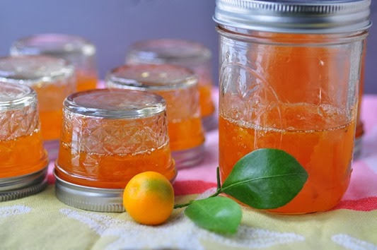 Calamondin_7LR