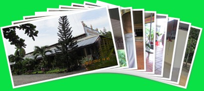 View album