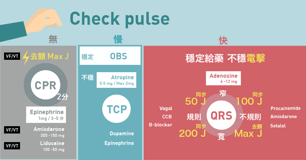 C W Wang Md 王姿文 Acls 高級心臟救命術megacode 簡單流程