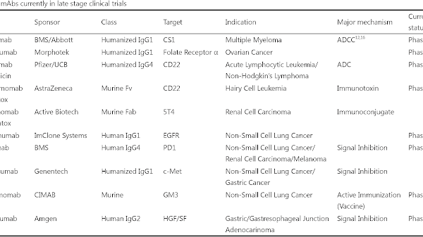 Monoclonal antibody therapy