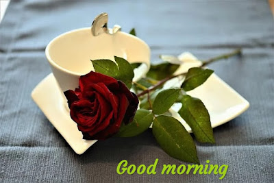 good morning images and quotes good morning images free good morning images in spanish good morning images cute good morning images with coffee good morning images monday good morning images thursday good morning images animated good morning images autumn good morning images and sayings good morning images and quotes for him good morning images and messages good morning images and quotes for her good morning images all good morning images and quotes in hindi good morning images and quotes funny good morning images beautiful good morning images birds good morning images breakfast good morning images beach good morning images blessed good morning images bhagwan good morning images bible quotes good morning images baby good morning images bengali good morning images buddha b name good morning images good morning images for b.f good morning images christmas good morning images christian good morning images cold good morning images cartoon good morning images christian quotes good morning images cats good morning images coffee good morning images cute baby good morning images couple good morning images disney good morning images dogs good morning images download for whatsapp good morning images december good morning images daughter good morning images days of the week good morning images download hd good morning images download 2019 good morning images download new h d good morning images d letter good morning images 3 d good morning images full h d good morning images good morning images h d new good morning images hd d sharechat good morning images d good morning images h d download new good morning images d good morning images free d good morning images everyone good morning images english good morning images english thoughts good morning images emoji good morning images english hd good morning images emotional good morning images edit good morning images english download good morning images edit name good morning images elephant good morning images for saturday good morning images fall good morning images for thursday g/f good morning images good morning g i f images download good morning images god good morning images gujarati good morning images gif nature good morning images gif 2019 good morning images god bless good morning images god hd good morning images ganesh good morning images gf good morning images girl good morning images god shiva hanuman ji good morning images g name good morning images good morning g images hd good morning images with g letter good morning images happy good morning images happy friday good morning images happy sunday good morning images hindu good morning images happy monday good morning images happy thursday good morning images happy wednesday good morning images halloween good morning images in punjabi good morning images in italian good morning images in hindi good morning images in english good morning images in russian good morning images in telugu good morning images its friday i love good morning images i love you good morning images i love u good morning images i miss you good morning images good morning images jesus good morning images jaan good morning images jasmine flowers good morning images jokes good morning images jai hanuman good morning images janu good morning images jai jagannath good morning images jai mata di good morning images jpg good morning images jay bhim good morning images krishna good morning images kannada good morning images kiss good morning images kannada download good morning images kannada quotes good morning images kerala good morning images kavithai good morning images kanha ji good morning images kavana good morning images kashmir good morning images love good morning images latest good morning images love for him good morning images love this pic good morning images love hd good morning images lover good morning images love shayari good morning images lord shiva good morning images love you good morning images love marathi l letter good morning images l love u good morning images l love you good morning images good morning l love you images hd good morning images memes good morning images monday god good morning images mountain good morning images my love good morning images malayalam good morning images monday special good morning images messages good morning images mom good morning images marathi m letter good morning images good morning m images hd good morning m name images good morning images hindi m good morning m alphabet images good morning images new good morning images november good morning images nature good morning images new 2019 good morning images new 2019 hd good morning images new hd good morning images new download good morning images nice good morning images natural flowers good morning images n quotes n letter good morning images love n good morning images good night n good morning images good morning n good day images tom and jerry good morning images good morning images n wishes good morning images and thoughts good morning messages and images good morning images of fall good morning images on pinterest good morning images of flowers good morning images of horses good morning images of winter good morning images of radha krishna good morning images of christmas good morning images of love good morning images of god with quotes in hindi good morning images of god shiva download of good morning images wishes of good morning images best of good morning images name on good morning images pictures of good morning images quotes of good morning images images of good morning images images of good morning photos gif of good morning images thought of good morning images good morning images punjabi good morning images positive good morning images pinterest good morning images photos good morning images please good morning images prayer good morning images pictures good morning images png good morning images photos download good morning images punjabi love good morning images quotes good morning images quotes in hindi download good morning images quotes for friends good morning images quotes in marathi good morning images quotation good morning images quotes in kannada good morning images quotes in english good morning images quotes for lover good morning images quotes download good morning images quotes in hindi a good morning images a very good morning images a blessed good morning images a beautiful good morning images a lovely good morning images a rainy good morning images a happy good morning images a wonderful good morning images a romantic good morning images a special good morning images good morning images religious good morning images rain good morning images romantic good morning images rainy day good morning images rose good morning images red rose good morning images radhe krishna good morning images river good morning images radhe radhe good morning images red flowers r letter good morning images r name good morning images how r u good morning images good morning love r images good morning images sunrise good morning images scripture good morning images spanish good morning images snowman good morning images son good morning images sunday blessings good morning images sai baba good morning images saturday special good morning images sister s good morning images download s letter good morning images s name good morning images s alphabet good morning images v s good morning images s name good morning images download s symbol good morning images s lavanya good morning images s letter good morning images download s good morning love images good morning images to a friend good morning images tuesday good morning images to share good morning images to my love good morning images telugu good morning images to my wife good morning images to a loved one good morning images tamil good morning images to lover good morning hd images for whatsapp good morning t images hd good morning images urdu good morning images unsplash good morning images unique good morning images ultra hd good morning images urdu mein good morning images umbrella good morning images usa good morning images uk good morning images update good morning hd images you good morning images love u good morning images love you good morning images miss you good morning images good morning images vintage good morning images video good morning images vichar good morning images videos telugu download good morning images venkateswara good morning images vishnu ji good morning images video download good morning images video song good morning images video kannada good morning images village v letter good morning images v beautiful good morning images good morning images with dogs good morning images with snow good morning images with animals good morning images with love good morning images winter good morning images with quotes blessings www good morning images www good morning images hd www.good morning images download www.good morning images in telugu www.good morning images in hindi www.good morning images in tamil www.good morning images free download www.good morning images hd download.com www good morning images with hindi shayari www.good morning images with positive thoughts good morning images xmas good morning wednesday xmas images good morning saturday xmas images good morning friday xmas images good morning thursday xmas images good morning tuesday xmas images good morning monday xmas images good morning merry xmas images good morning sunday xmas images good morning images youtube good morning images year end good morning images yoga good morning images yellow flowers good morning images yellow rose good morning images yellow good morning images yaad good morning images yadav good morning yoga images for friends good morning yoga images hd good morning y'all images good morning images zedge good morning images zip file download good morning zindagi images good morning zen images good morning zumba images good morning zebra images good morning zara image good morning images download zedge good morning new zealand images zoozoo good morning images images 0f good morning good morning images 1080p good morning images 1/1/2020 good morning images 1 1 2020 good morning images 1080p hd good morning images 192 pixel good morning images 1 march 2019 good morning images 15 august good morning images hd 1080p good morning images 1st march good morning images 11 good morning images 2019 good morning images 2020 good morning images 2019 hd good morning image 2018 good morning images 2019 new good morning images 2019 download good morning images 2019 latest good morning images 2020 download good morning images 2019 in hindi good morning images 2020 in hindi good morning images 3d good morning images 3d animation good morning images 3d hd good morning images 31st december 2018 good morning images 3d download good morning images 31st december good morning images 31st december 2019 good morning images 3d gif good morning images 3d hd gif good morning images 3d new good morning images 4d good morning images 4k good morning images 4k hd good morning images 4k download good morning 49ers images good morning 4k images with quotes good morning 4k images love good morning images for whatsapp in hindi good morning images for whatsapp free download good morning images for love for good morning images wishes for good morning images for love good morning images for friends good morning images app for good morning images for husband good morning images for you good morning images download for good morning images for whatsapp good morning images quotes for good morning images good morning images 5d good morning 5k images good morning images with 5 top 5 good morning images good morning 6d images good morning images with 6 60 good morning images with the most beautiful flowers 60 good morning images 60 good morning images to send to your girlfriend good morning images 720p download good morning images 720p good morning 7d images good morning images hd 720p 786 good morning images 7 good morning images 75 good morning images good morning image 8k good morning 8d images good morning 80s images 8.8.2018 good morning images good morning image 9 january 2019 good morning images download hdvd9 9apps good morning images 9 good morning images