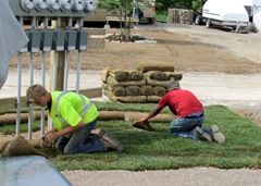 Rest Of Sod Goes Down - Now it looks better
