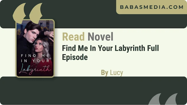 Cover Find Me In Your Labyrinth Novel By Lucy