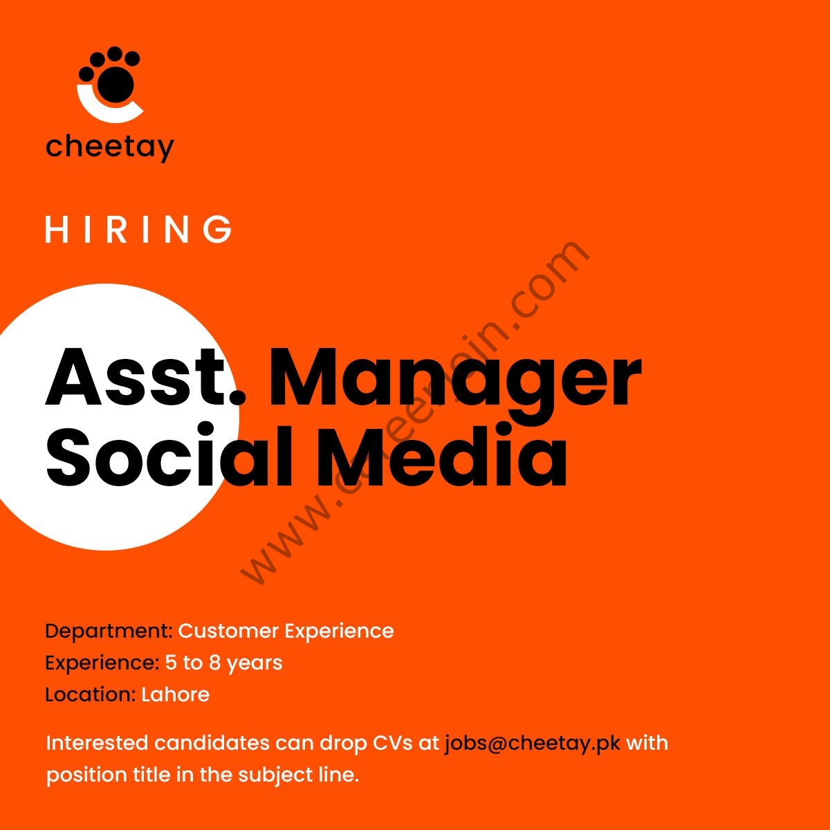 Cheetay Logistics Pvt Ltd Jobs Assistant Manager Social Media