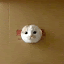 wallpaper animasi gerak lucu kucing