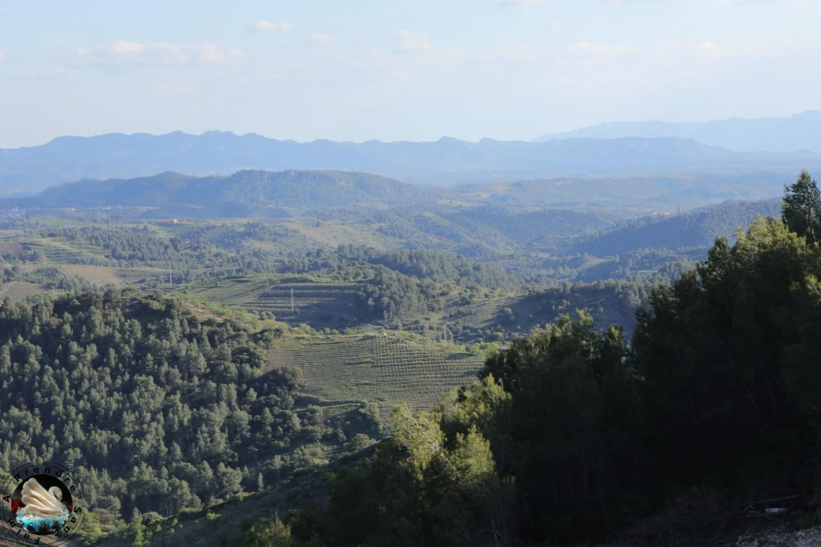 Visite et dégustations de vins à Bodegas Mas Alta - Vilella Alta