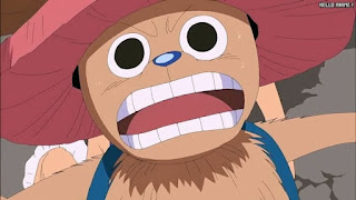 ワンピースアニメ シャボンディ諸島編 401話 チョッパー Tony Tony Chopper | ONE PIECE Episode 401