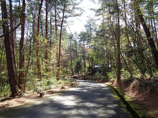 ロイヤルシティ大山リゾートの別荘地