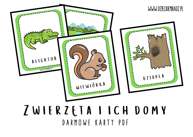 zwierzęta i ich domy